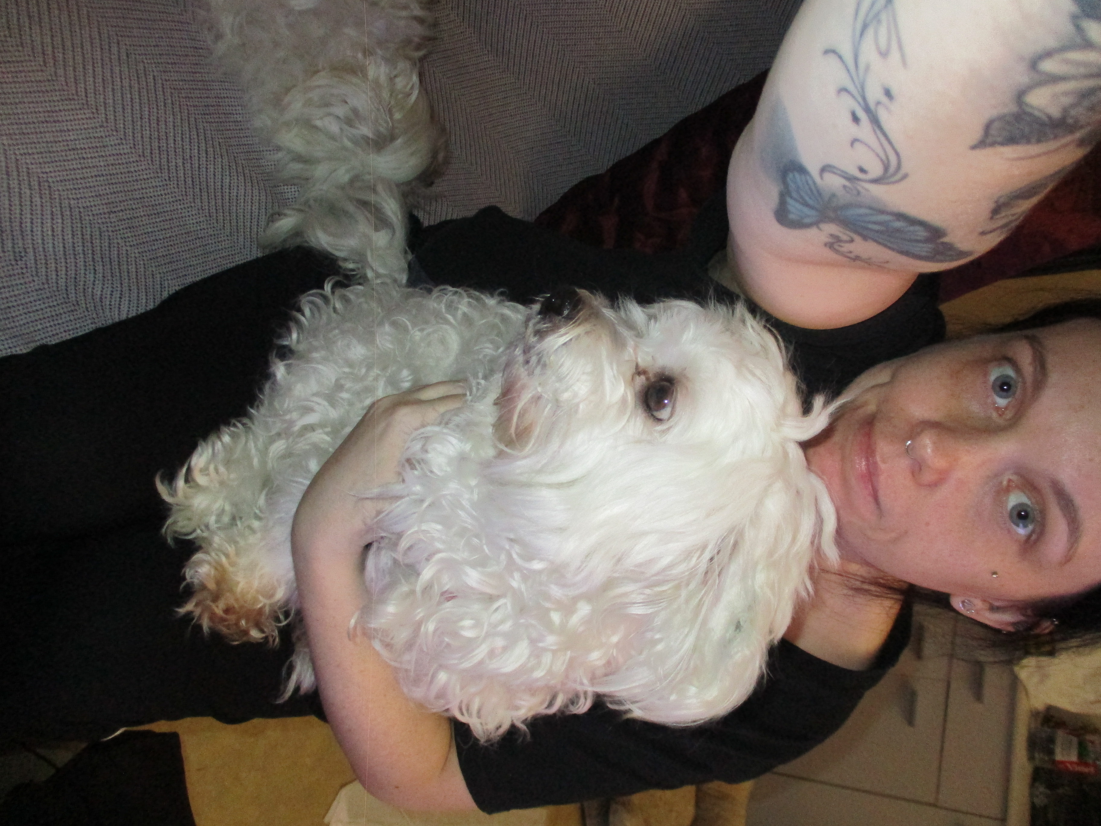 Service garde animaux 30 entre particuliers